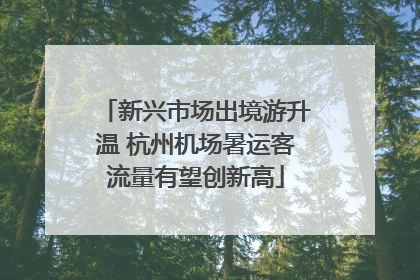 新兴市场出境游升温 杭州机场暑运客流量有望创新高