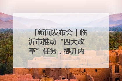 新闻发布会｜临沂市推动“四大改革”任务，提升内部审计监督效能
