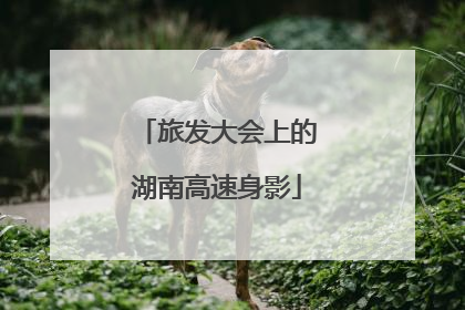 旅发大会上的湖南高速身影