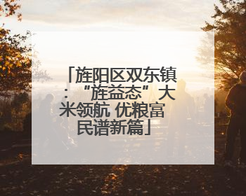 旌阳区双东镇：“旌益态”大米领航 优粮富民谱新篇