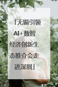 无锡引领AI+数智经济创新生态推介会走进深圳