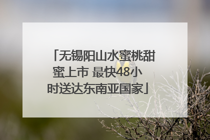 无锡阳山水蜜桃甜蜜上市 最快48小时送达东南亚国家