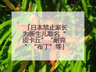 日本禁止家长为新生儿取名“皮卡丘”“耐克”“布丁”等