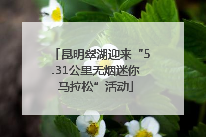 昆明翠湖迎来“5.31公里无烟迷你马拉松”活动