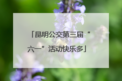 昆明公交第三届“六一”活动快乐多