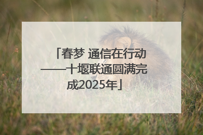 春梦 通信在行动——十堰联通圆满完成2025年