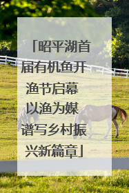 昭平湖首届有机鱼开渔节启幕 以渔为媒 谱写乡村振兴新篇章