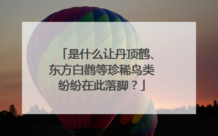 是什么让丹顶鹤、东方白鹳等珍稀鸟类纷纷在此落脚？