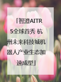 智澄AITR5全球首秀 杭州未来科技城机器人产业生态加速成型