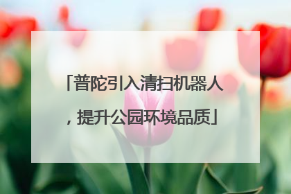 普陀引入清扫机器人，提升公园环境品质