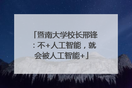暨南大学校长邢锋：不+人工智能，就会被人工智能+