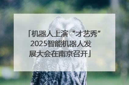 机器人上演“才艺秀” 2025智能机器人发展大会在南京召开