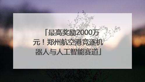 最高奖励2000万元！郑州航空港竞逐机器人与人工智能赛道