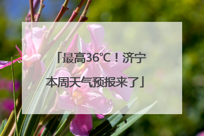 最高36℃！济宁本周天气预报来了