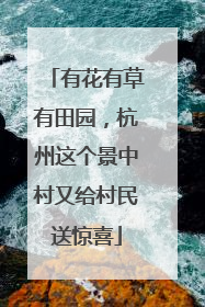 有花有草有田园，杭州这个景中村又给村民送惊喜