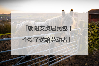 朝阳安贞居民包千个粽子送给劳动者