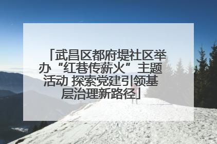 武昌区都府堤社区举办“红巷传薪火”主题活动 探索党建引领基层治理新路径