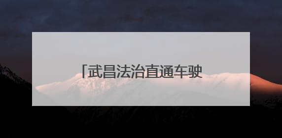 武昌法治直通车驶入街头巷尾 立体化普法护航美好生活