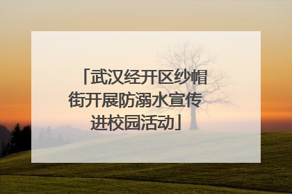 武汉经开区纱帽街开展防溺水宣传进校园活动