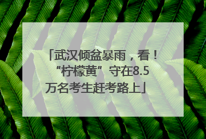 武汉倾盆暴雨，看！“柠檬黄”守在8.5万名考生赶考路上