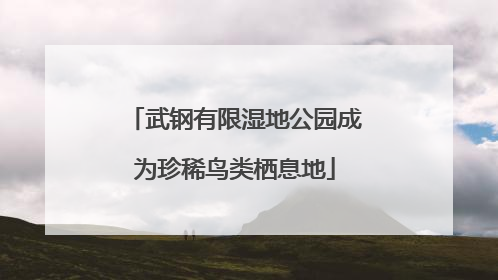 武钢有限湿地公园成为珍稀鸟类栖息地