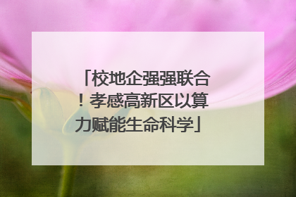 校地企强强联合！孝感高新区以算力赋能生命科学