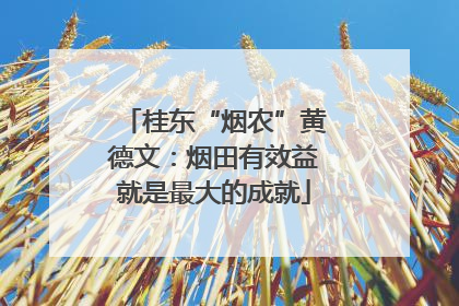 桂东“烟农”黄德文：烟田有效益就是最大的成就