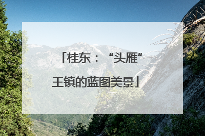 桂东：“头雁”王镇的蓝图美景