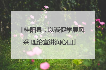 桂阳县：以赛促学展风采 理论宣讲润心田