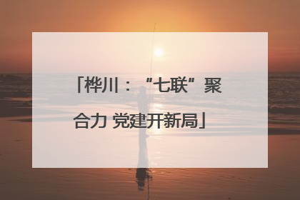 桦川：“七联”聚合力 党建开新局
