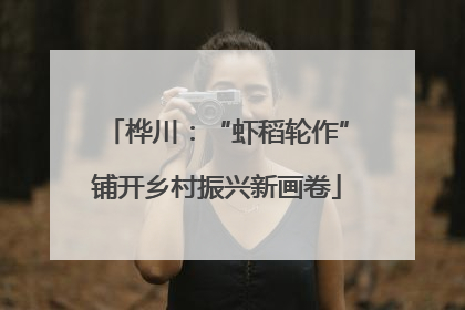 桦川：“虾稻轮作”铺开乡村振兴新画卷