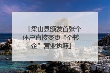 梁山县颁发首张个体户直接变更“个转企”营业执照