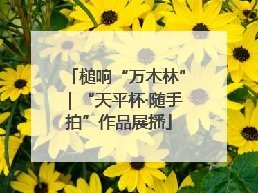 槌响“万木林”｜“天平杯·随手拍”作品展播