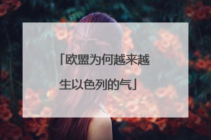 欧盟为何越来越生以色列的气