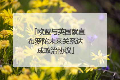 欧盟与英国就直布罗陀未来关系达成政治协议