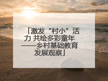 激发“村小”活力 共绘多彩童年——乡村基础教育发展观察
