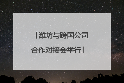 潍坊与跨国公司合作对接会举行