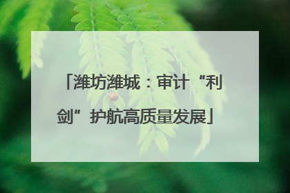 潍坊潍城：审计“利剑”护航高质量发展