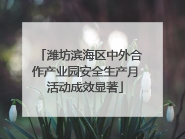 潍坊滨海区中外合作产业园安全生产月活动成效显著