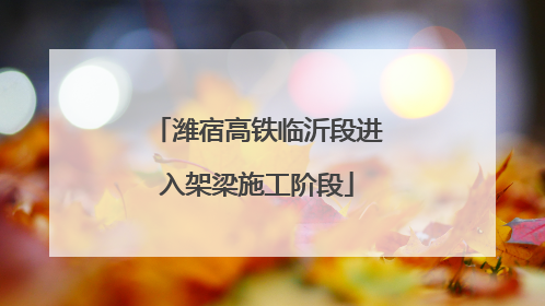 潍宿高铁临沂段进入架梁施工阶段
