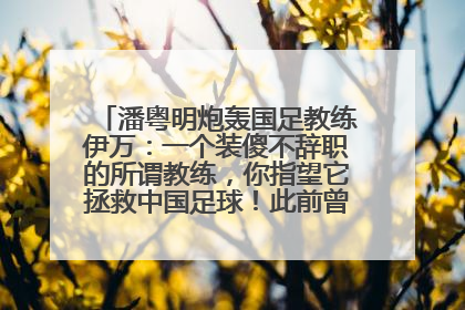 潘粤明炮轰国足教练伊万：一个装傻不辞职的所谓教练，你指望它拯救中国足球！此前曾多次发文评价国足