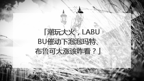 潮玩大火，LABUBU催动下泡泡玛特、布鲁可大涨该咋看？