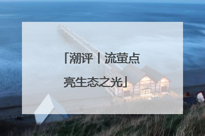 潮评丨流萤点亮生态之光