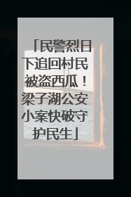 民警烈日下追回村民被盗西瓜！梁子湖公安小案快破守护民生