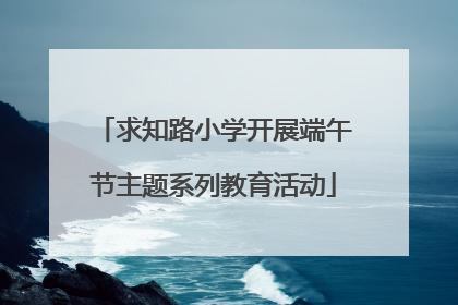 求知路小学开展端午节主题系列教育活动