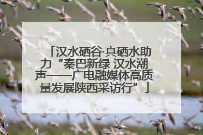 汉水硒谷·真硒水助力“秦巴新绿 汉水潮声——广电融媒体高质量发展陕西采访行”