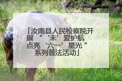 汝南县人民检察院开展 “‘未’爱护航 点亮‘六一’星光 ”系列普法活动