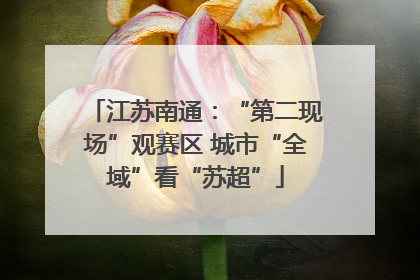 江苏南通：“第二现场”观赛区 城市“全域”看“苏超”