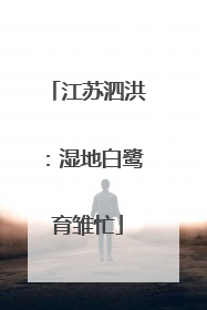 江苏泗洪：湿地白鹭育雏忙