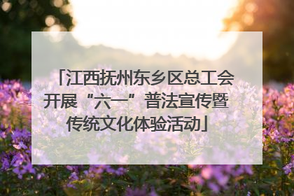 江西抚州东乡区总工会开展“六一”普法宣传暨传统文化体验活动
